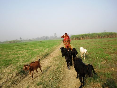 Farmers challenges in Bihar