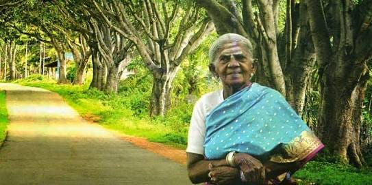 Saalumarada Thimmakkaa