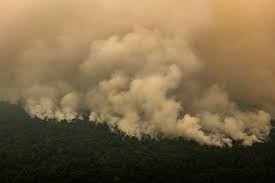 Forest Fire in Indonesia