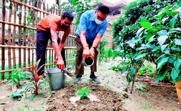 Dr.B.N.Yadav Madhepuri planting sapling on the occasion of World Environment Day at Madhepura.